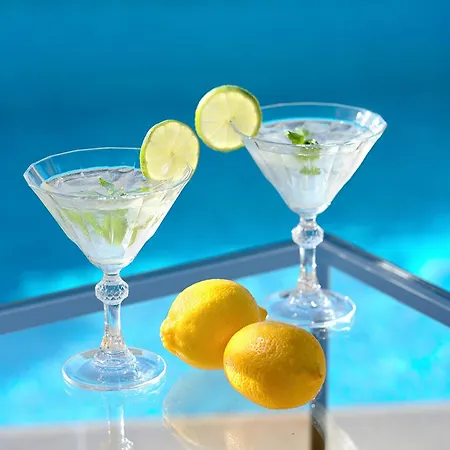 With A Swimming Pool Tisno, Murter - 3219